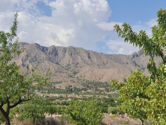 Land in Abanilla - Caza De Casa