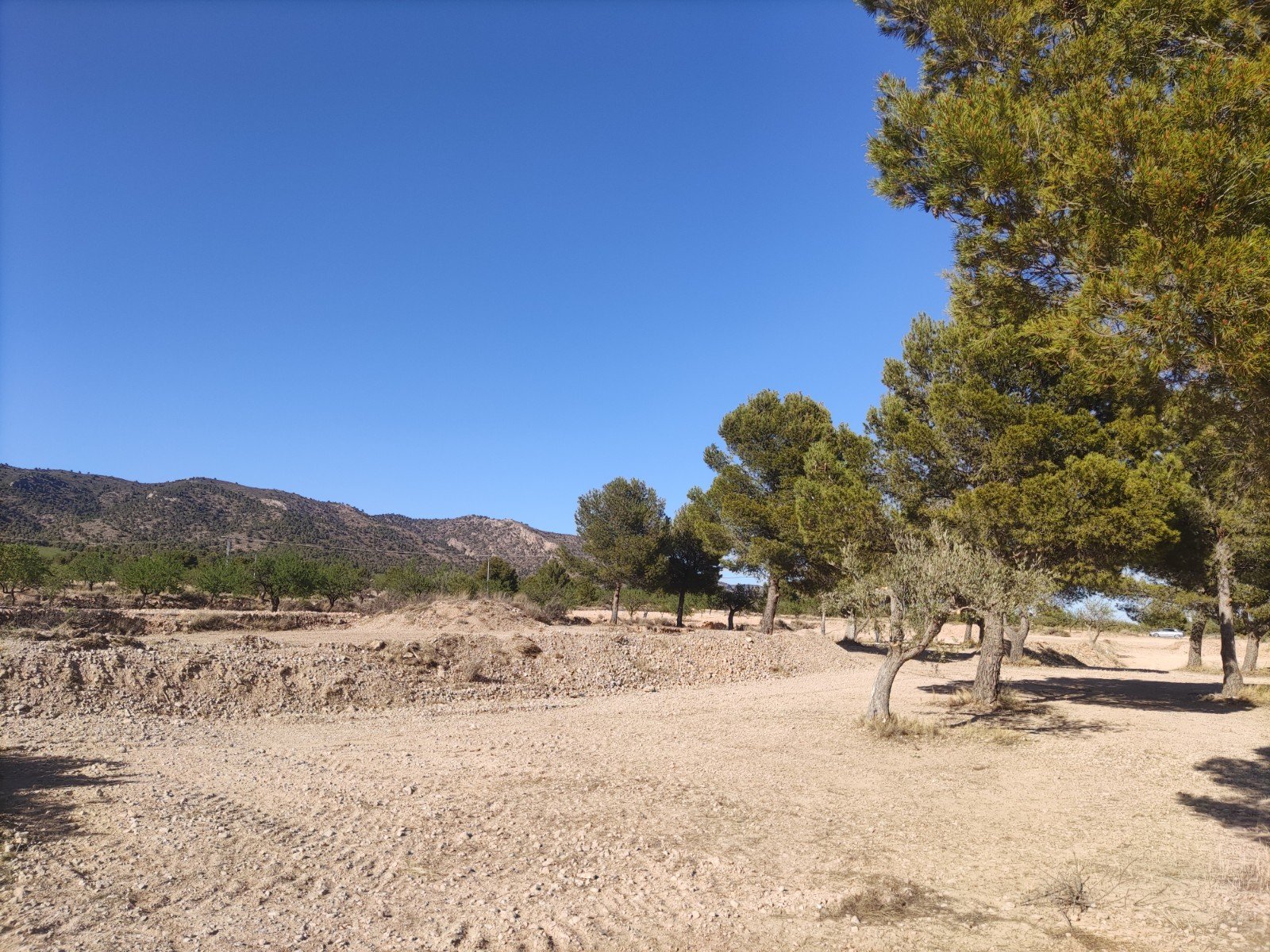 Land in Pinoso - Caza De Casa