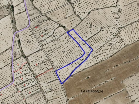 9,157 m² Land in Pinoso - Caza De Casa
