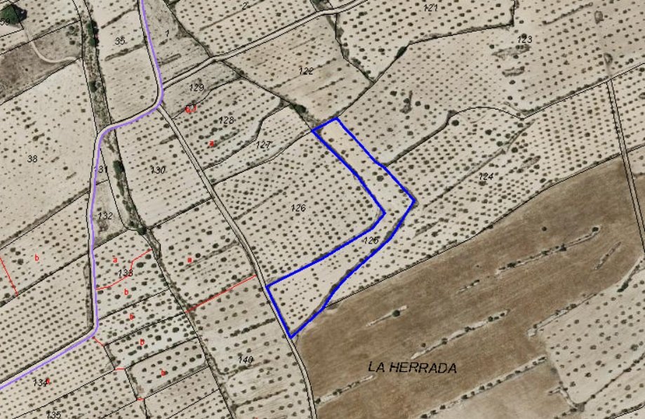 9,157 m² Land in Pinoso - Caza De Casa