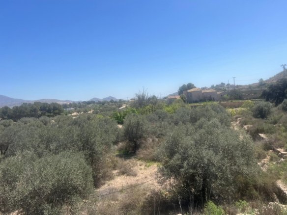 14,358 m² Land in Monóvar/Monóver - Caza De Casa