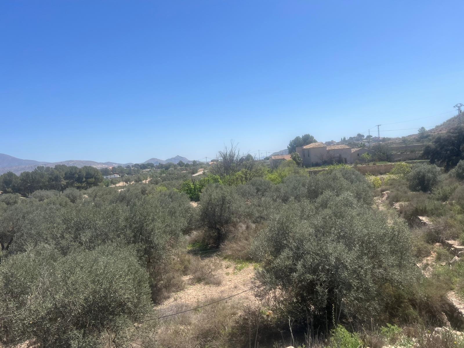 14,358 m² Land in Monóvar/Monóver - Caza De Casa