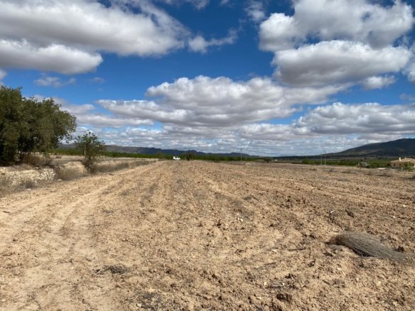 12,797 m² Land in Pinoso - Caza De Casa