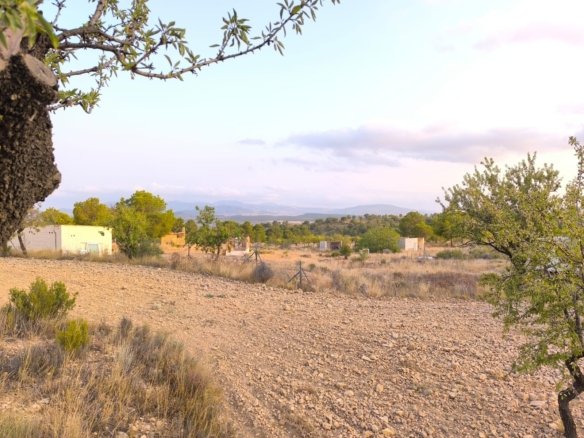 4,797 m² Land in Pinoso - Caza De Casa