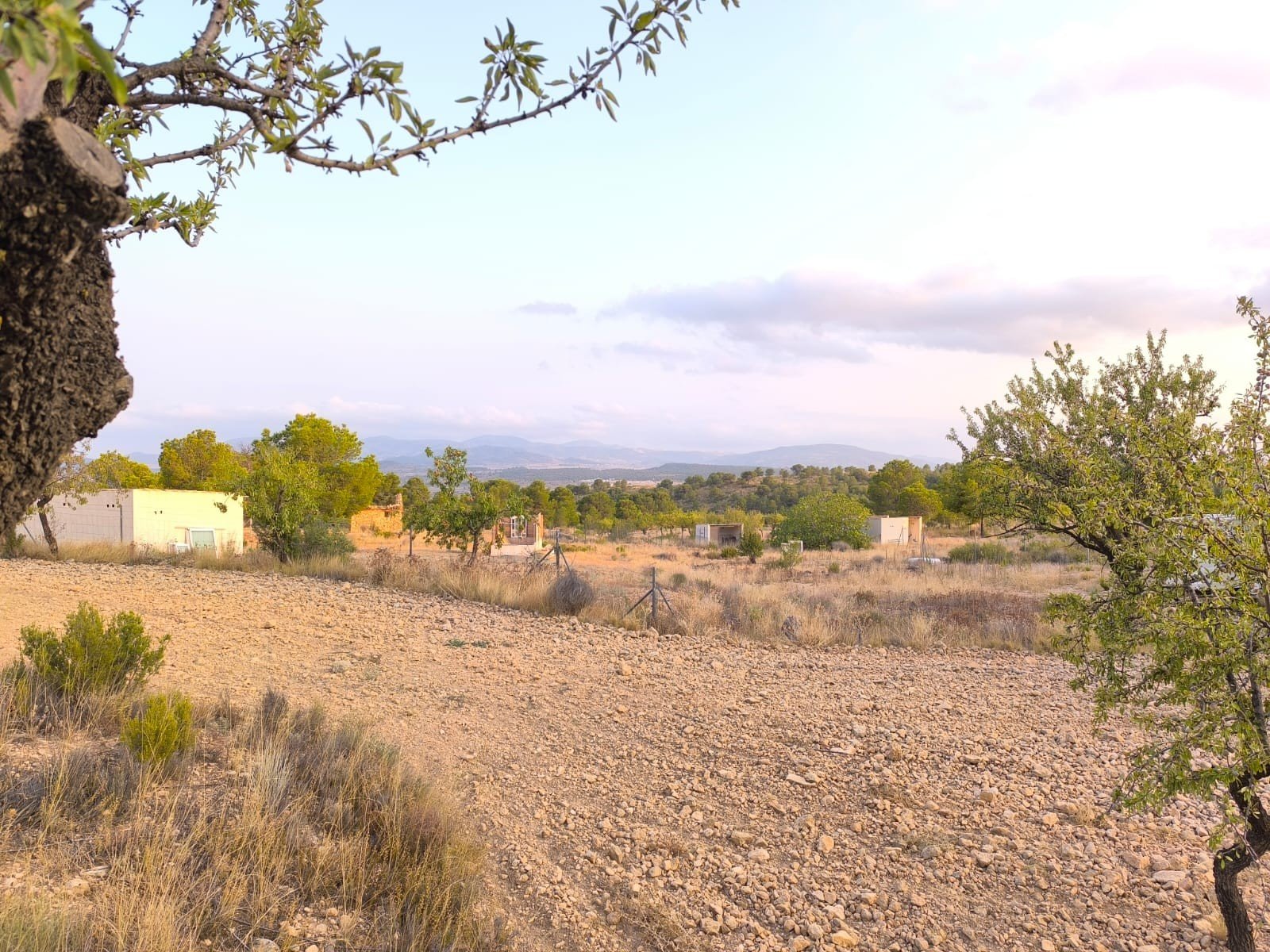 4,797 m² Land in Pinoso - Caza De Casa