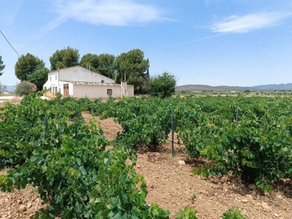 5 Bed 1 Bath Country House in Yecla - Caza De Casa