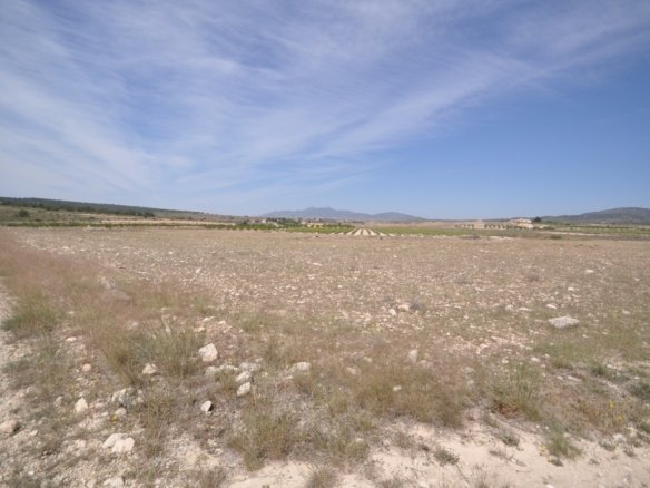 Land in Pinoso - Caza De Casa