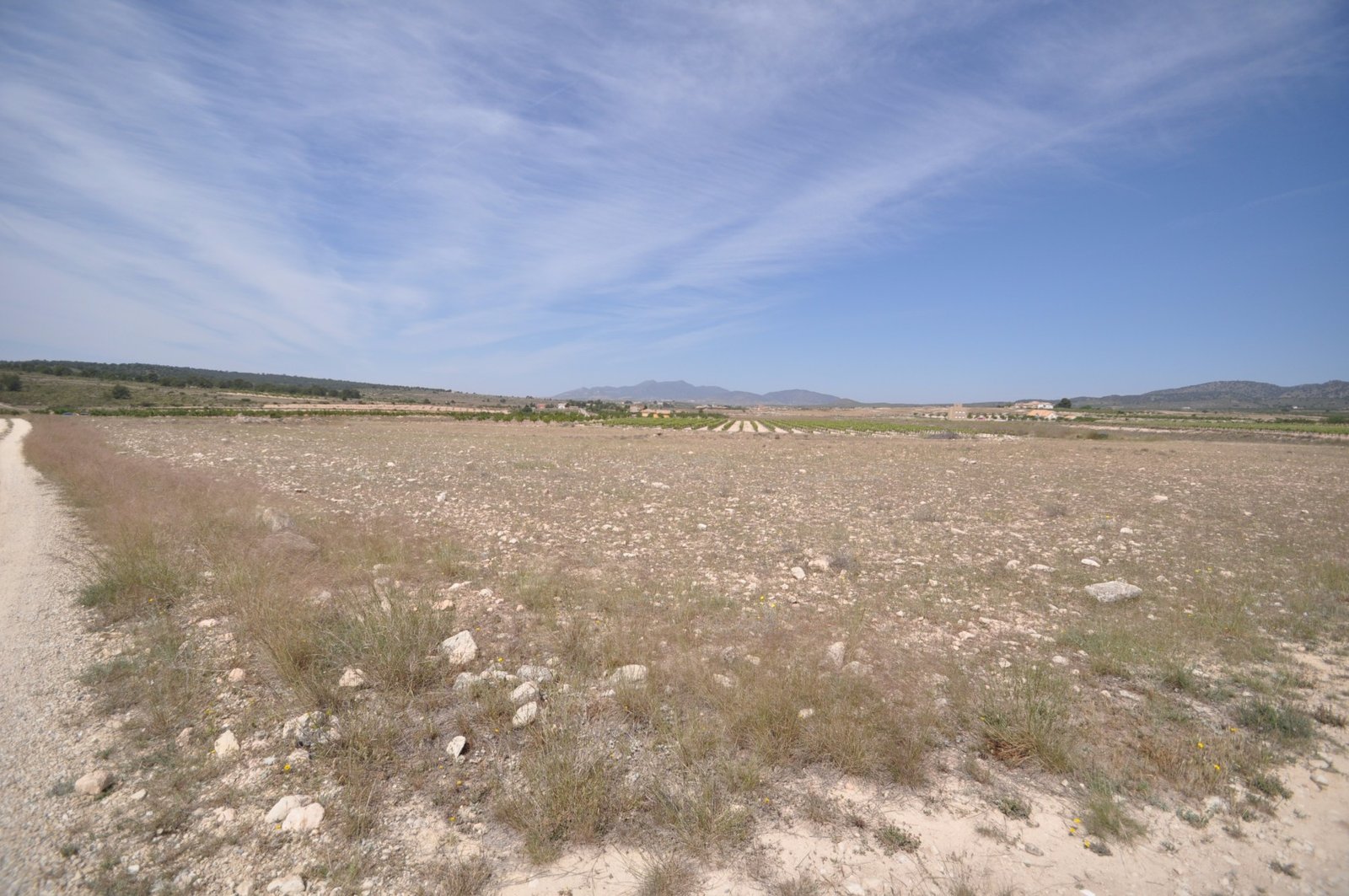 Land in Pinoso - Caza De Casa