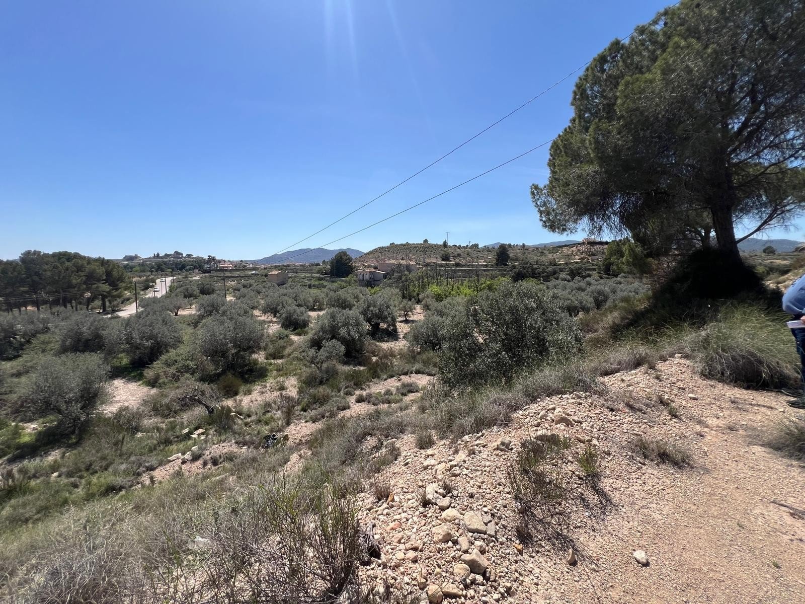 14,358 m² Land in Monóvar/Monóver - Caza De Casa