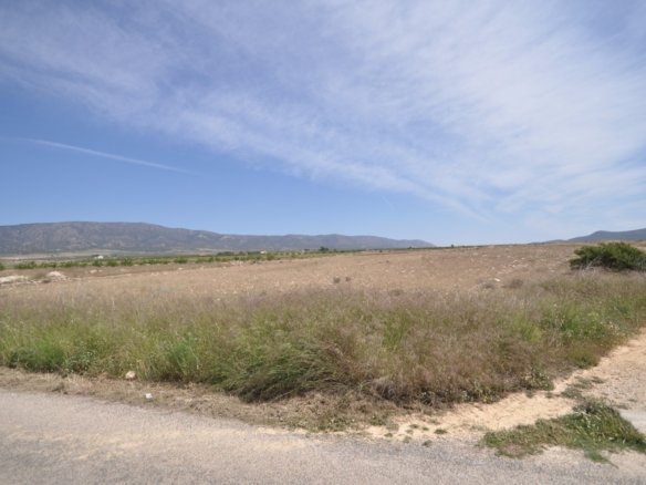 Land in Pinoso - Caza De Casa