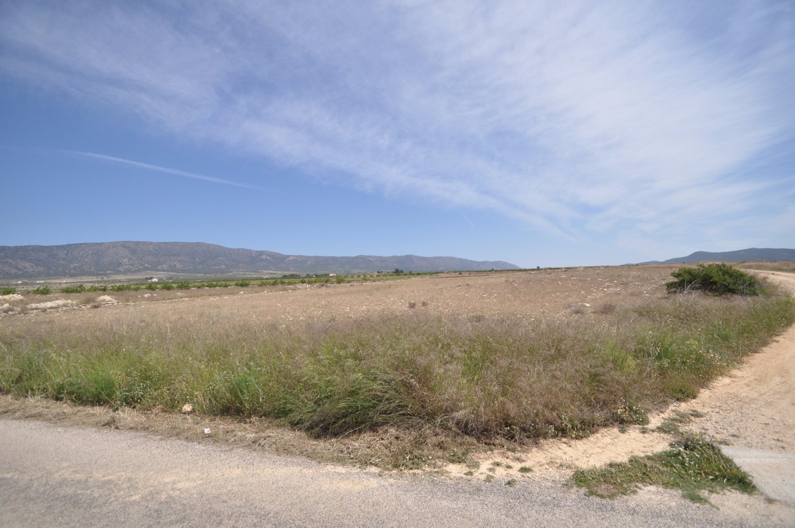 Land in Pinoso - Caza De Casa