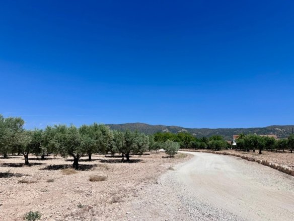 48,000 m² Land in Monóvar/Monóver - Caza De Casa