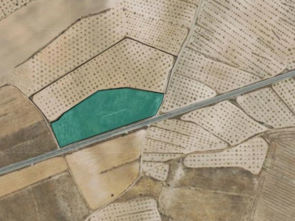 13,931 m² Land in Jumilla - Caza De Casa