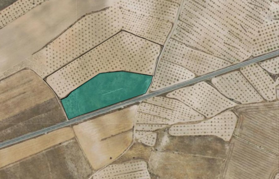 13,931 m² Land in Jumilla - Caza De Casa