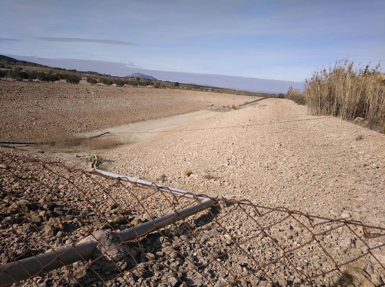 Commercial in Yecla - Caza De Casa