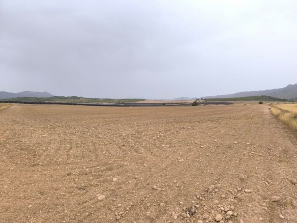 Land in Yecla - Caza De Casa