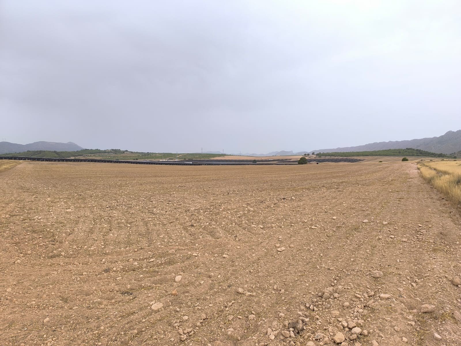 Land in Yecla - Caza De Casa