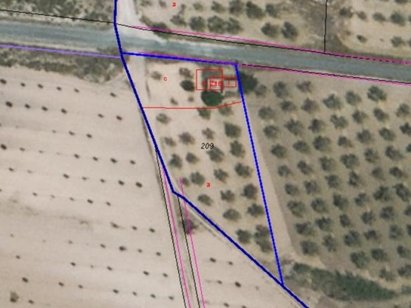 Land in Yecla - Caza De Casa