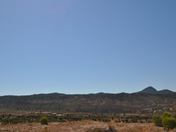 48,977 m² Land in Macisvenda - Caza De Casa