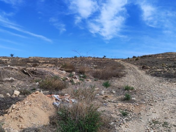 17,300 m² Land in Pinoso - Caza De Casa