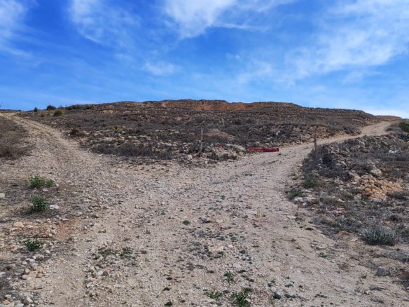 17,300 m² Land in Pinoso - Caza De Casa