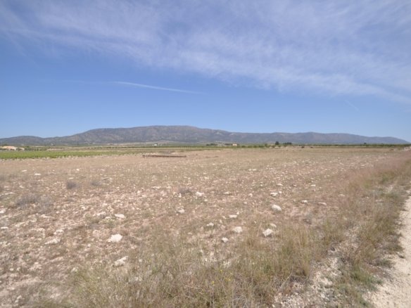 Land in Pinoso - Caza De Casa