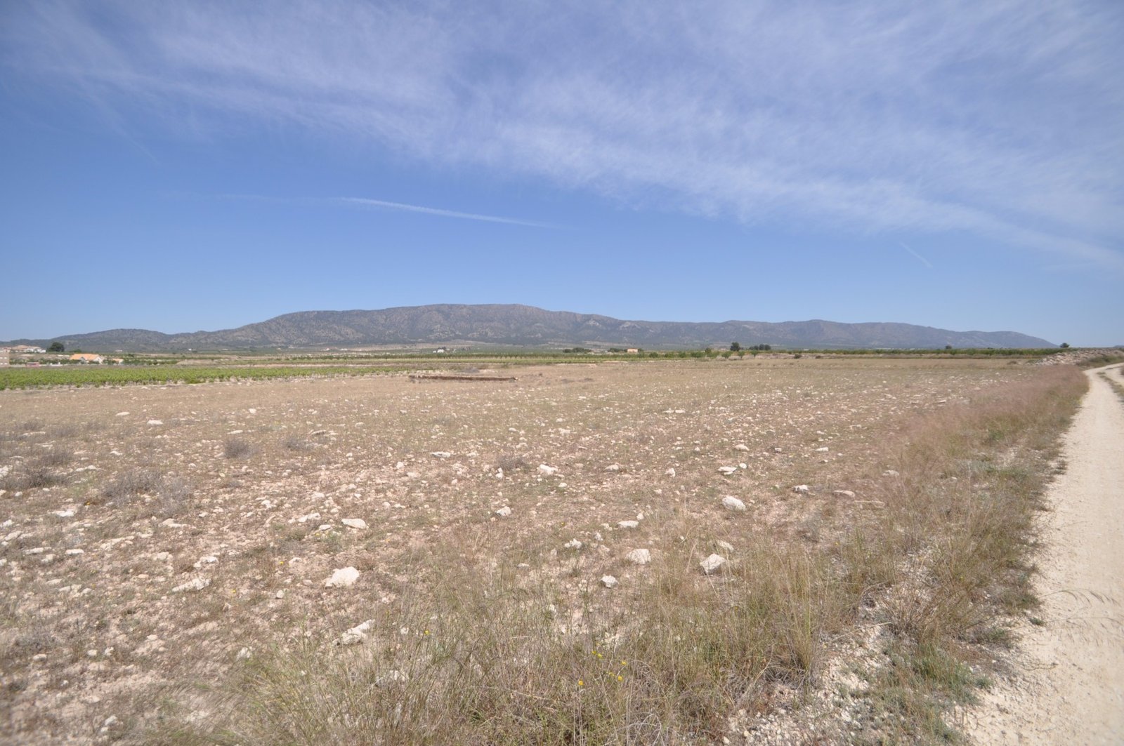Land in Pinoso - Caza De Casa