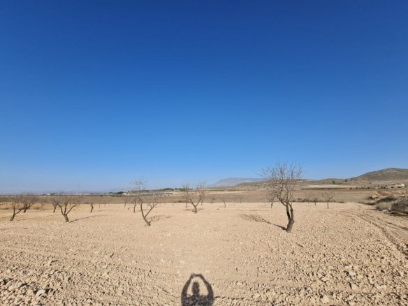 Land in Jumilla - Caza De Casa