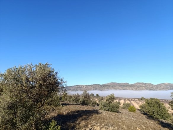 9,197 m² Land in Yecla - Caza De Casa