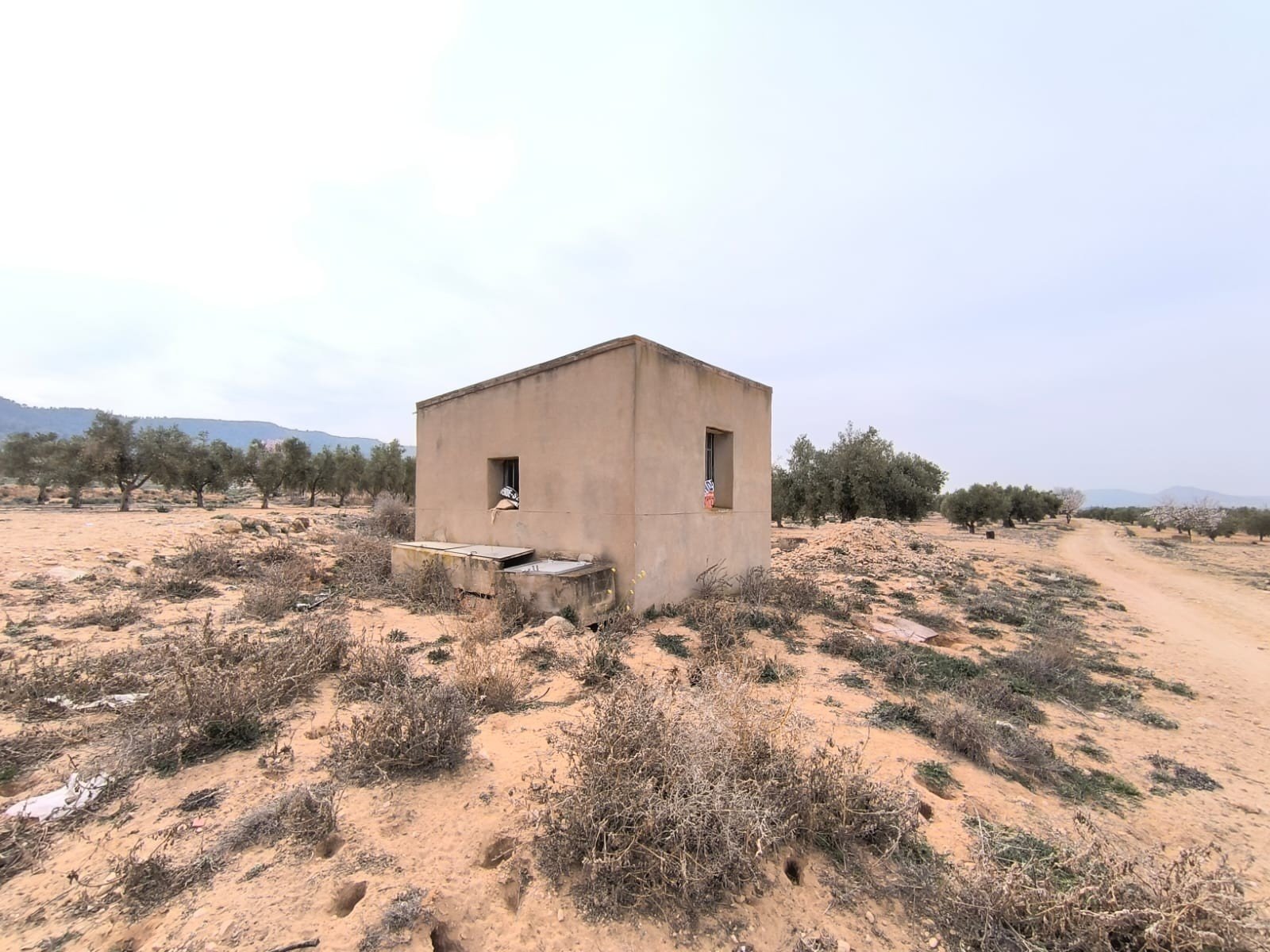 27,000 m² Land in Villena - Caza De Casa