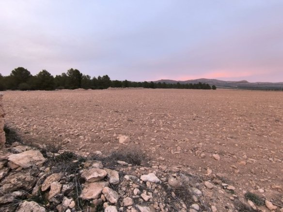 Land in Yecla - Caza De Casa