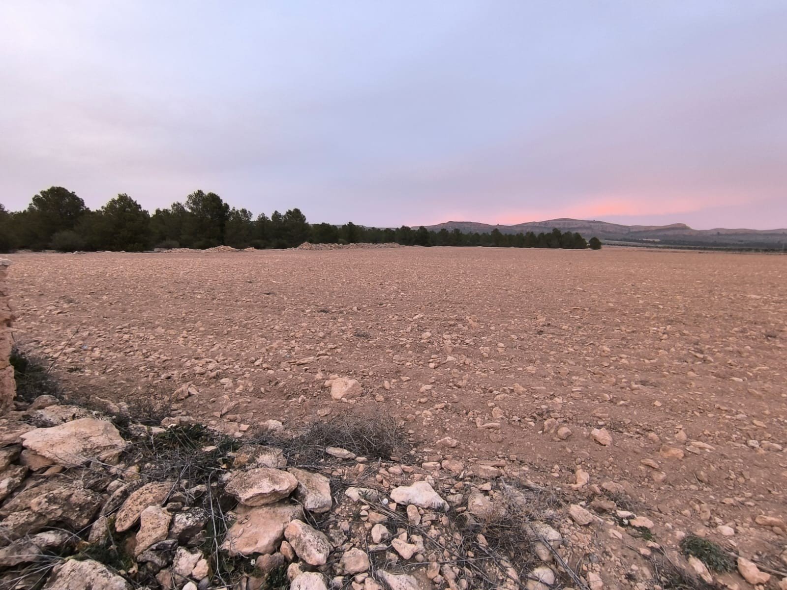 Land in Yecla - Caza De Casa