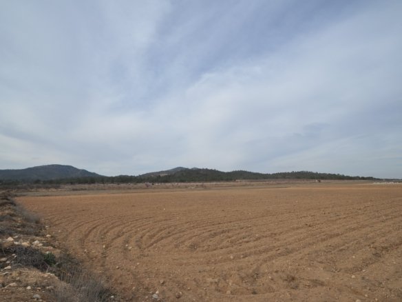 33,880 m² Land in Monóvar/Monóver - Caza De Casa