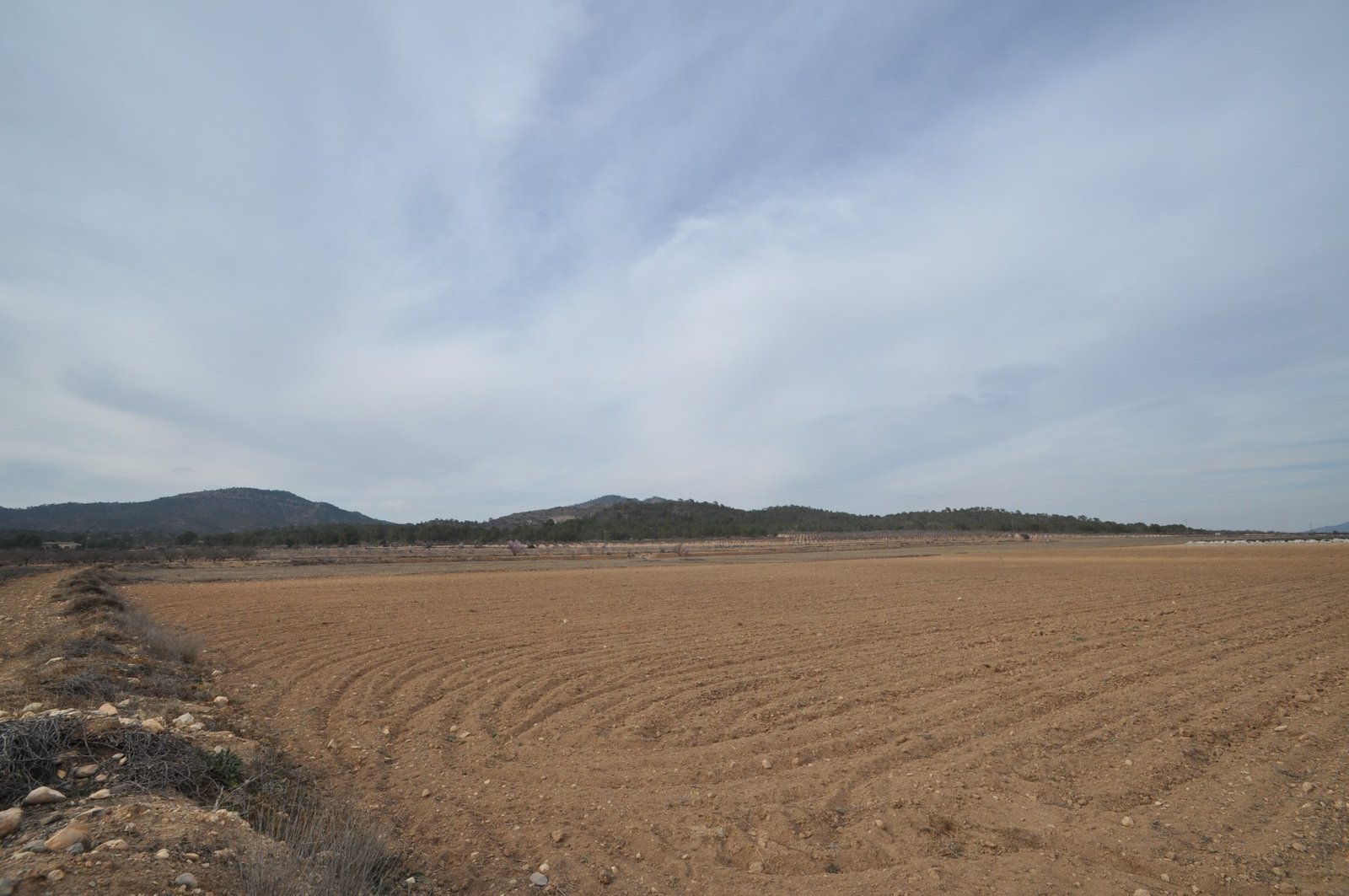 33,880 m² Land in Monóvar/Monóver - Caza De Casa