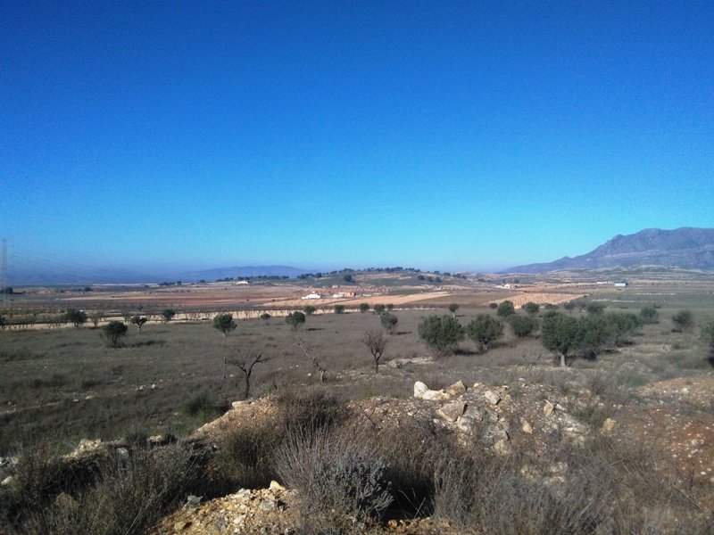 160,000 m² Land in Torre Del Rico - Caza De Casa