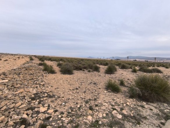 95,000 m² Land in Yecla - Caza De Casa
