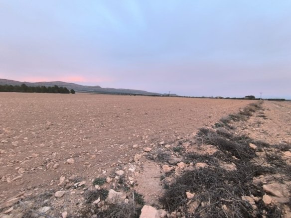 Land in Yecla - Caza De Casa