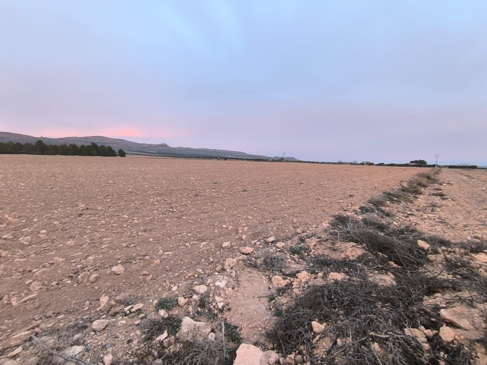 Land in Yecla - Caza De Casa
