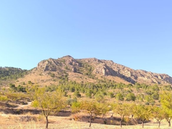 Land in Algueña - Caza De Casa