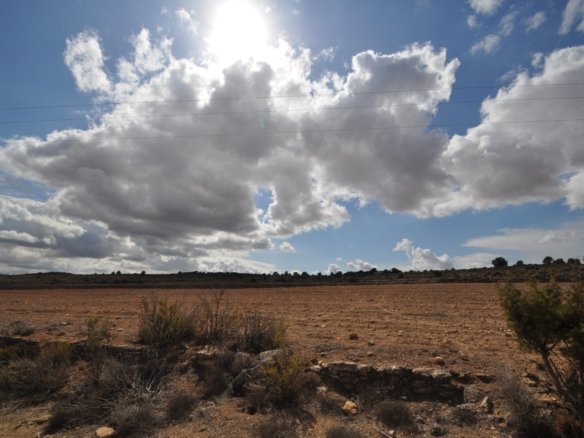 Land in Pinoso - Caza De Casa