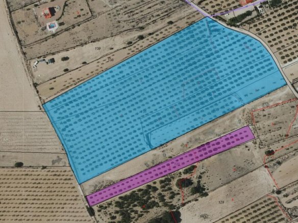 48,000 m² Land in Monóvar/Monóver - Caza De Casa