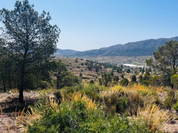 Land in La Romana - Caza De Casa