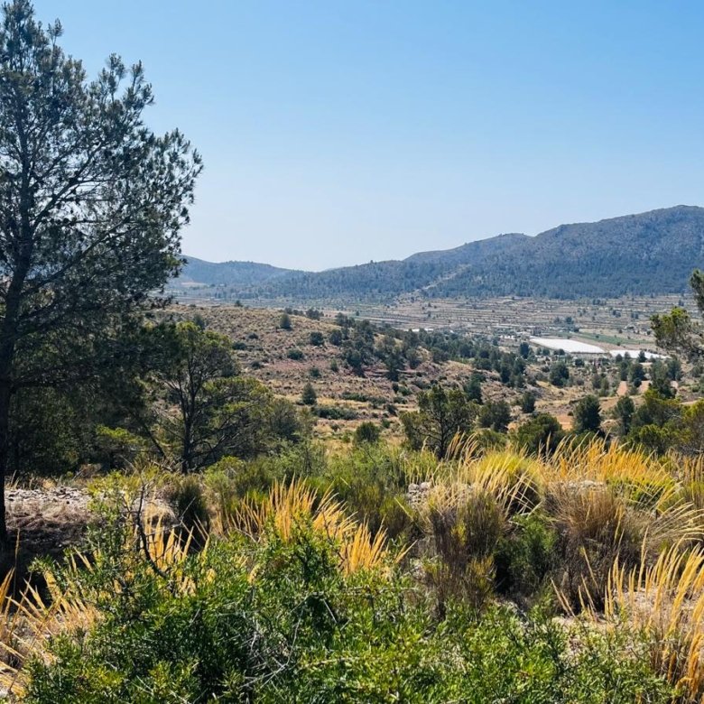 18,512 m² Land in La Romana - Caza De Casa