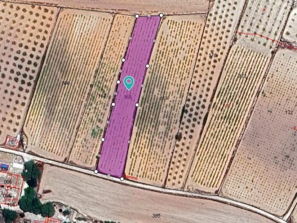 4,211 m² Land in Pinoso - Caza De Casa