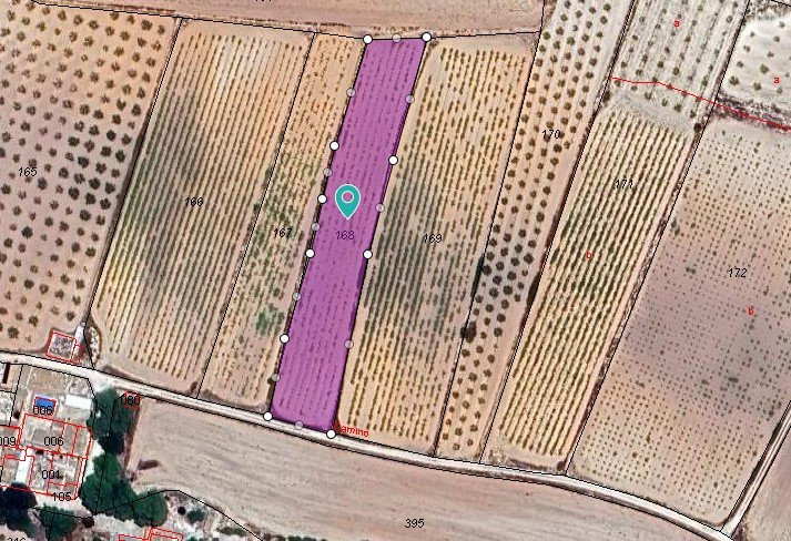 4,211 m² Land in Pinoso - Caza De Casa
