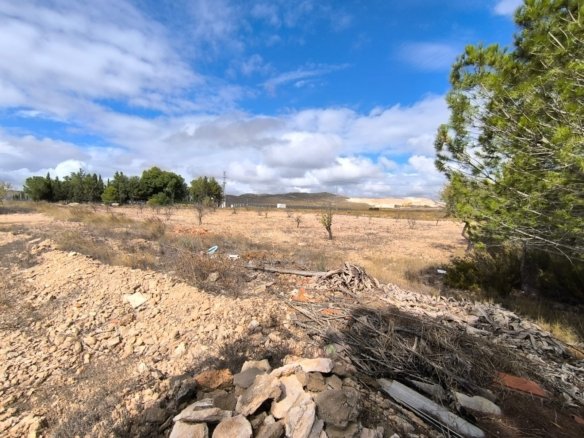 3 Bedroom 1 Bathroom Country House in Yecla - Caza De Casa