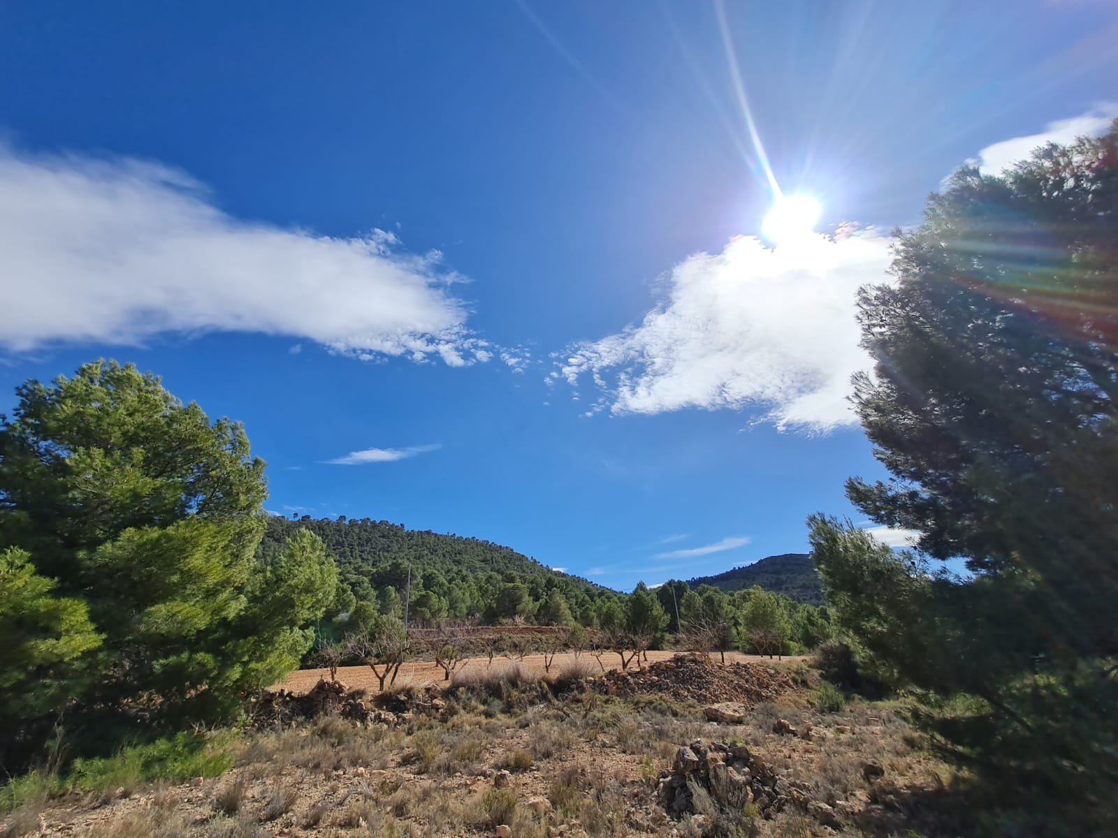 f0693f9f17462e15 Land in Pinoso - Caza De Casa