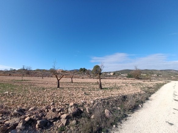 2 Bedroom Other in Yecla - Caza De Casa