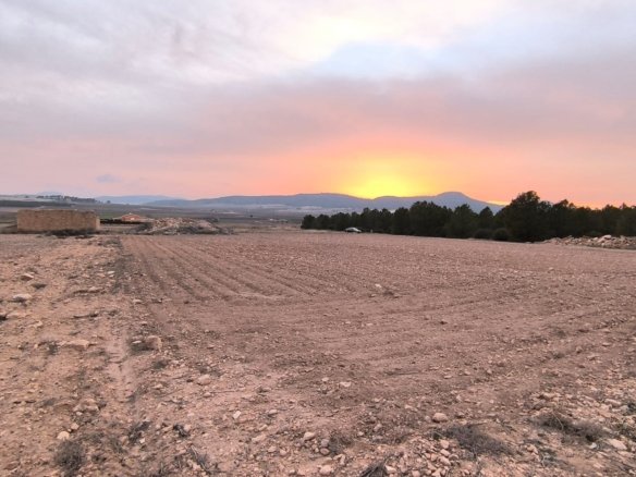 Land in Yecla - Caza De Casa