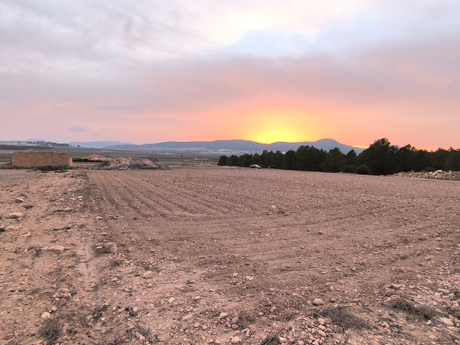 Land in Yecla - Caza De Casa